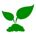 organic grain alcohol